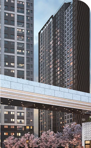 프리미엄 이미지 01