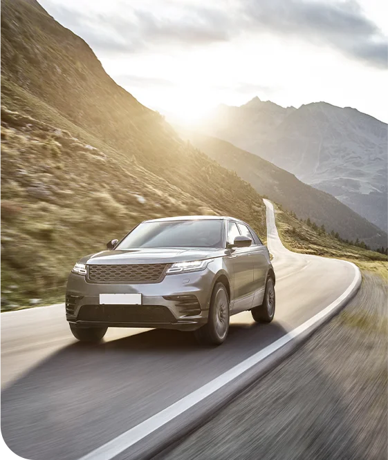 프리미엄 이미지 04