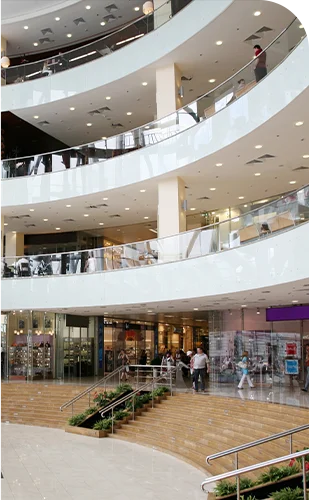 프리미엄 이미지 06